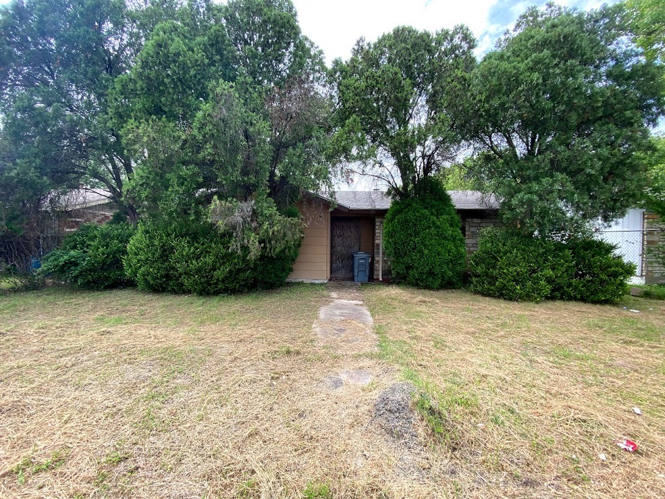 The same house before, overgrown and hidden behind bushes